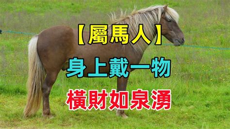 屬馬的什麼名最好|屬馬的什麼名字最好？選擇與命理相符的完美名字